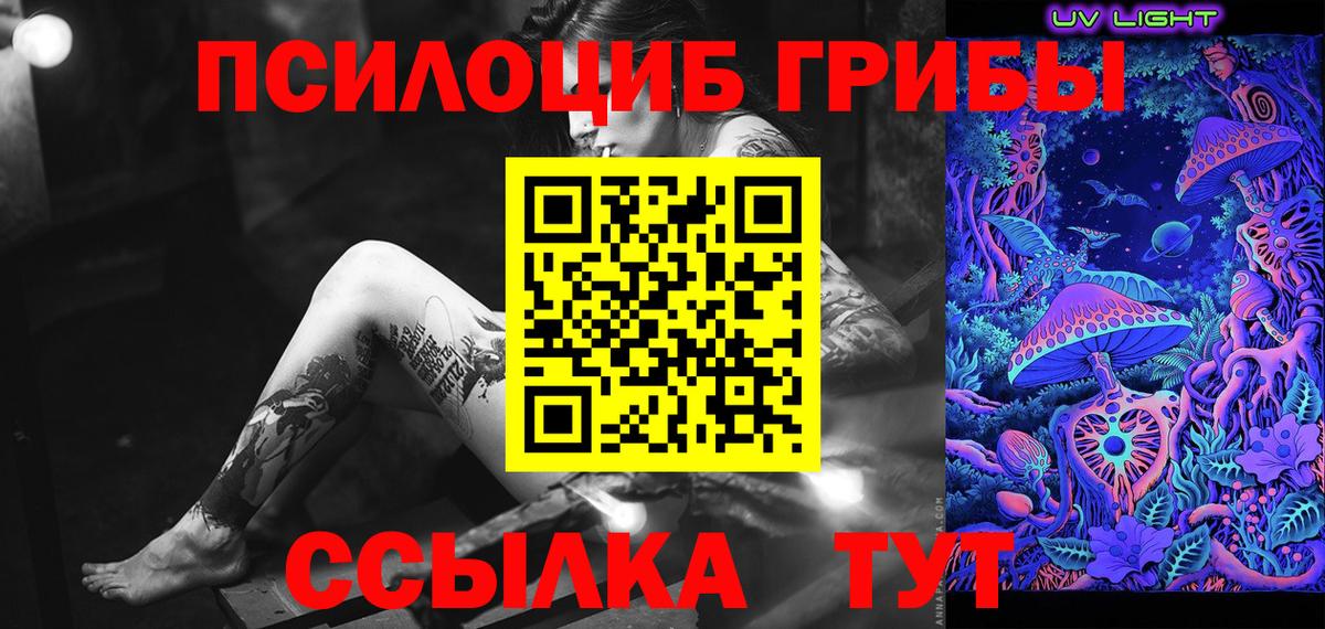 Ржев  Псилоцибиновые грибы Psilocybe  Вход с VPN 
