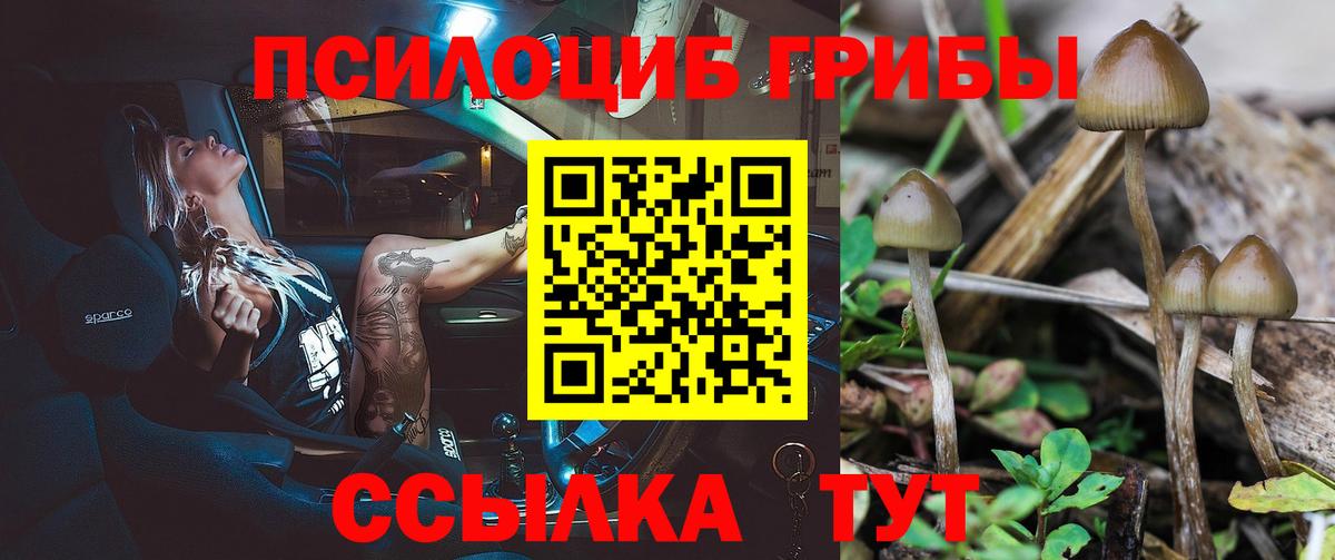 Псилоцибиновые грибы мухоморы Ржев